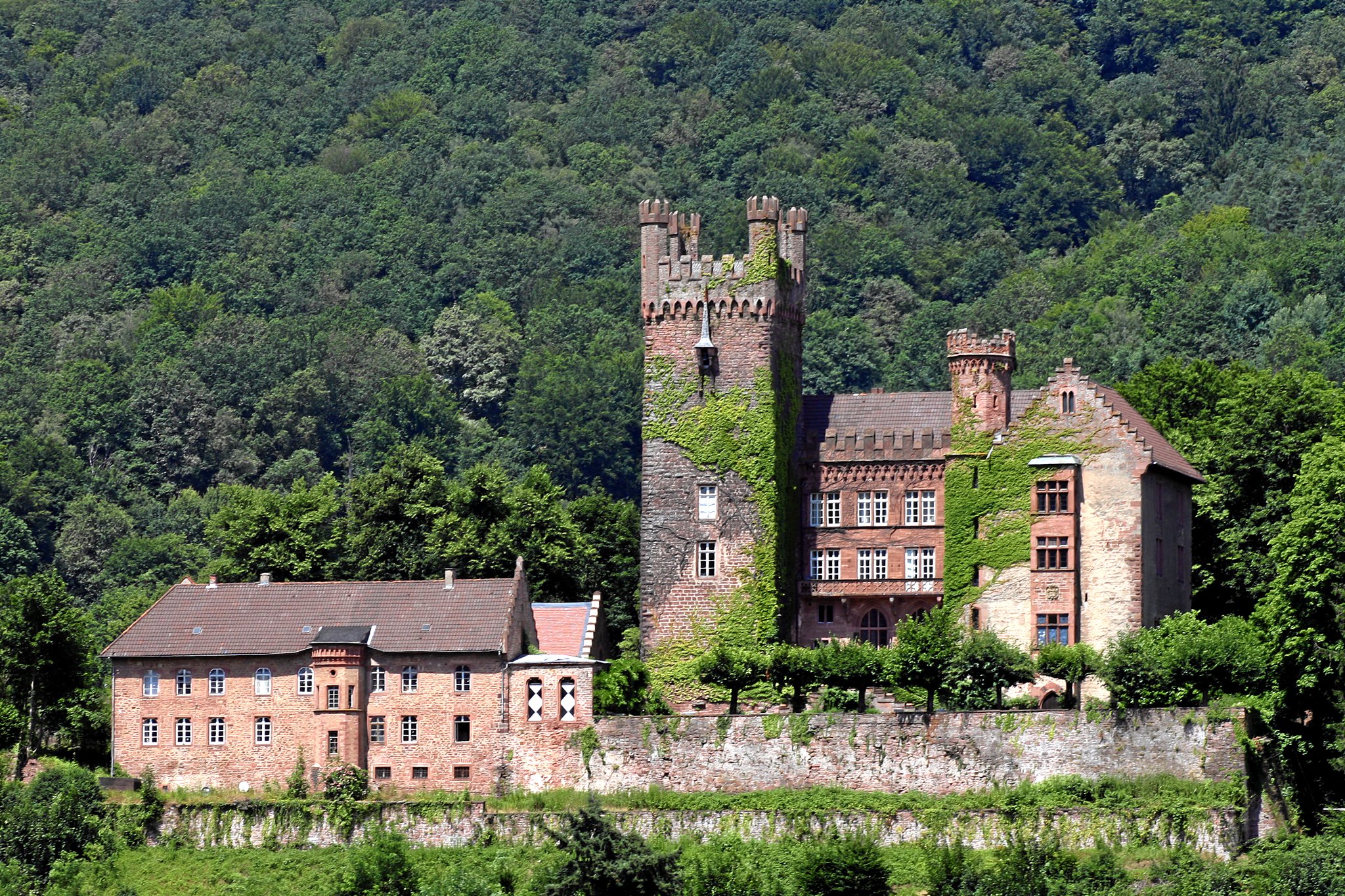 germany, Castle, Forests, Neckarsteinach, Mittelburg, Cities Wallpaper