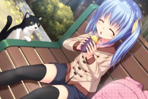 anime, Girl, Eating, Appetite, Cat, Shop, Taste