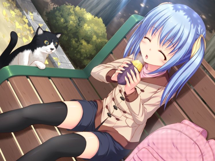 anime, Girl, Eating, Appetite, Cat, Shop, Taste HD Wallpaper Desktop Background