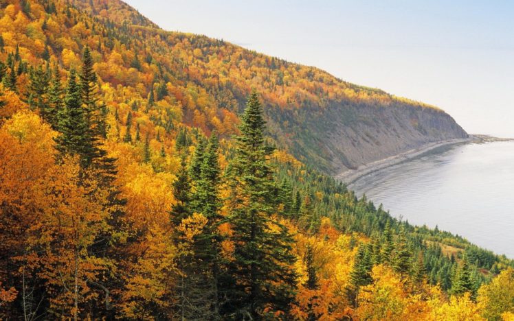 woods, Coast, Resources, Autumn HD Wallpaper Desktop Background