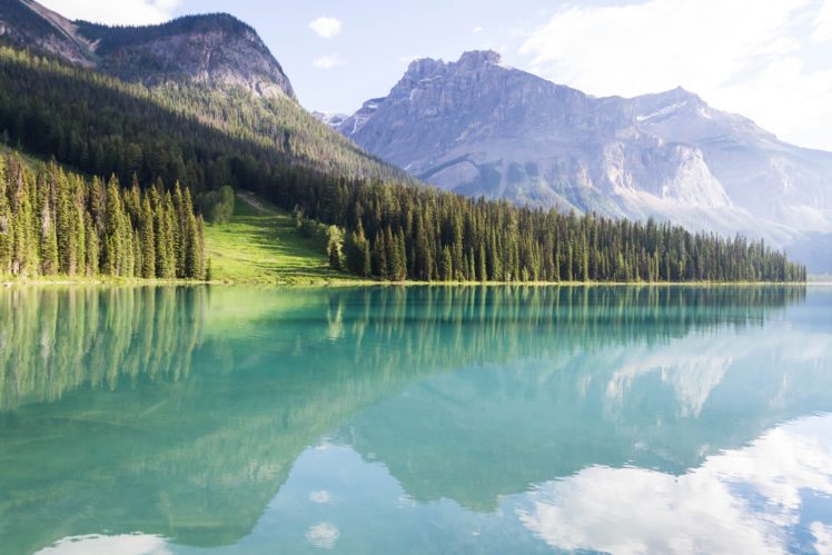 mountains, Landscape, Trees, Lake, Peyto HD Wallpaper Desktop Background