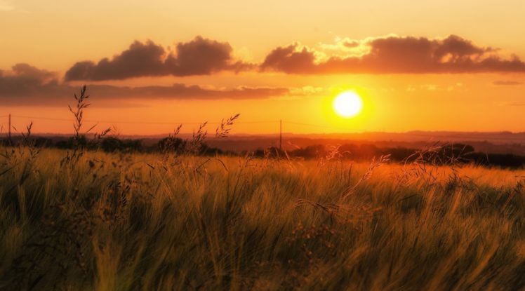 beautiful, Nature, Grass, Sunset, Field, Sky HD Wallpaper Desktop Background