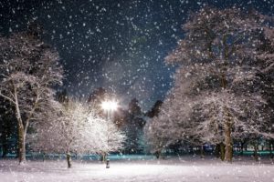 park, Snow, Winter, Lamp, Light, Precipitation, Landscape, Trees, Night