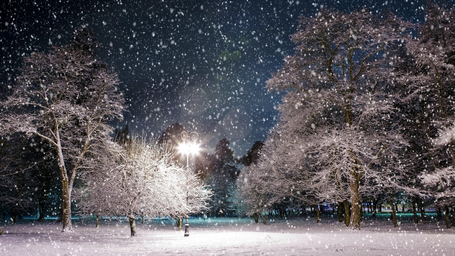 park, Snow, Winter, Lamp, Light, Precipitation, Landscape, Trees, Night Wallpaper