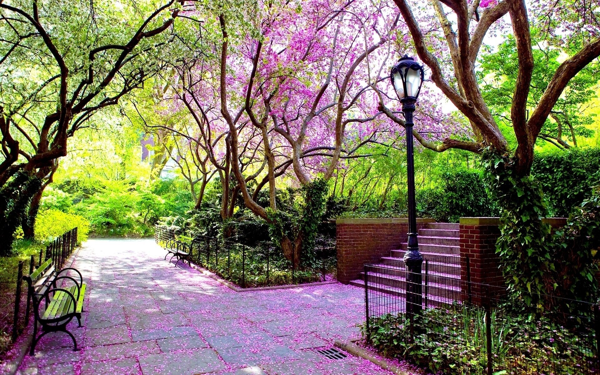 park, Garden, Bench, Lamp, Spring, Flowering, Tile, Brightly, Shadows Wallpaper