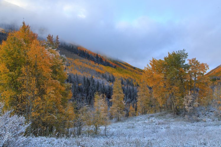trees, Mountains, Frost, Autumn HD Wallpaper Desktop Background