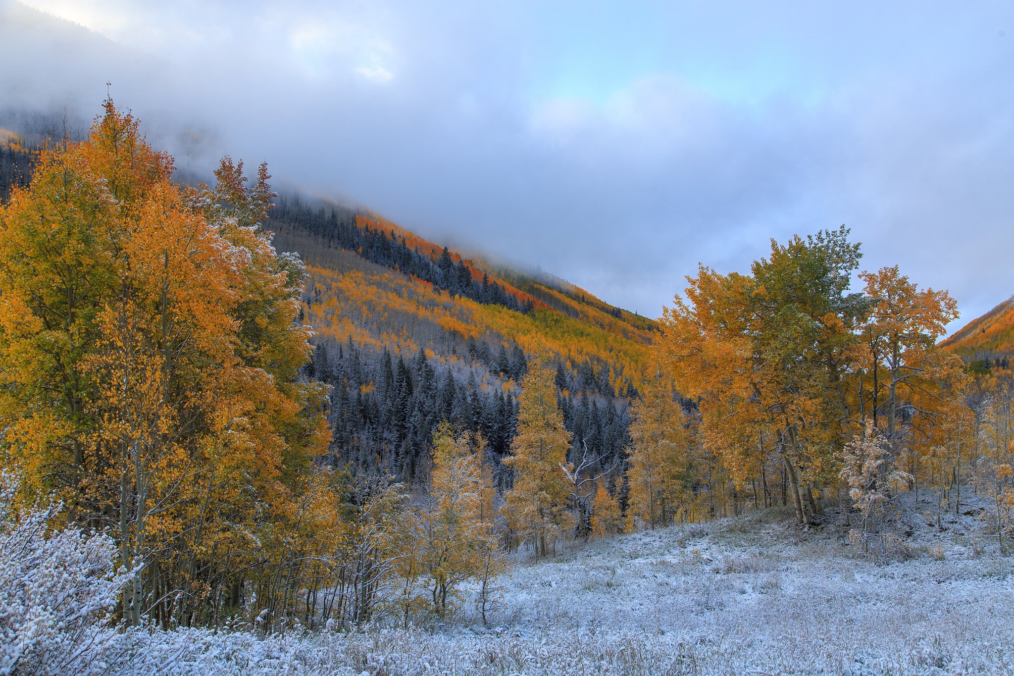 trees, Mountains, Frost, Autumn Wallpaper