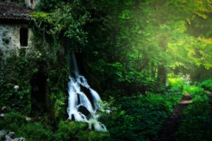 forest, Nature, Building, Waterfall, Landscape