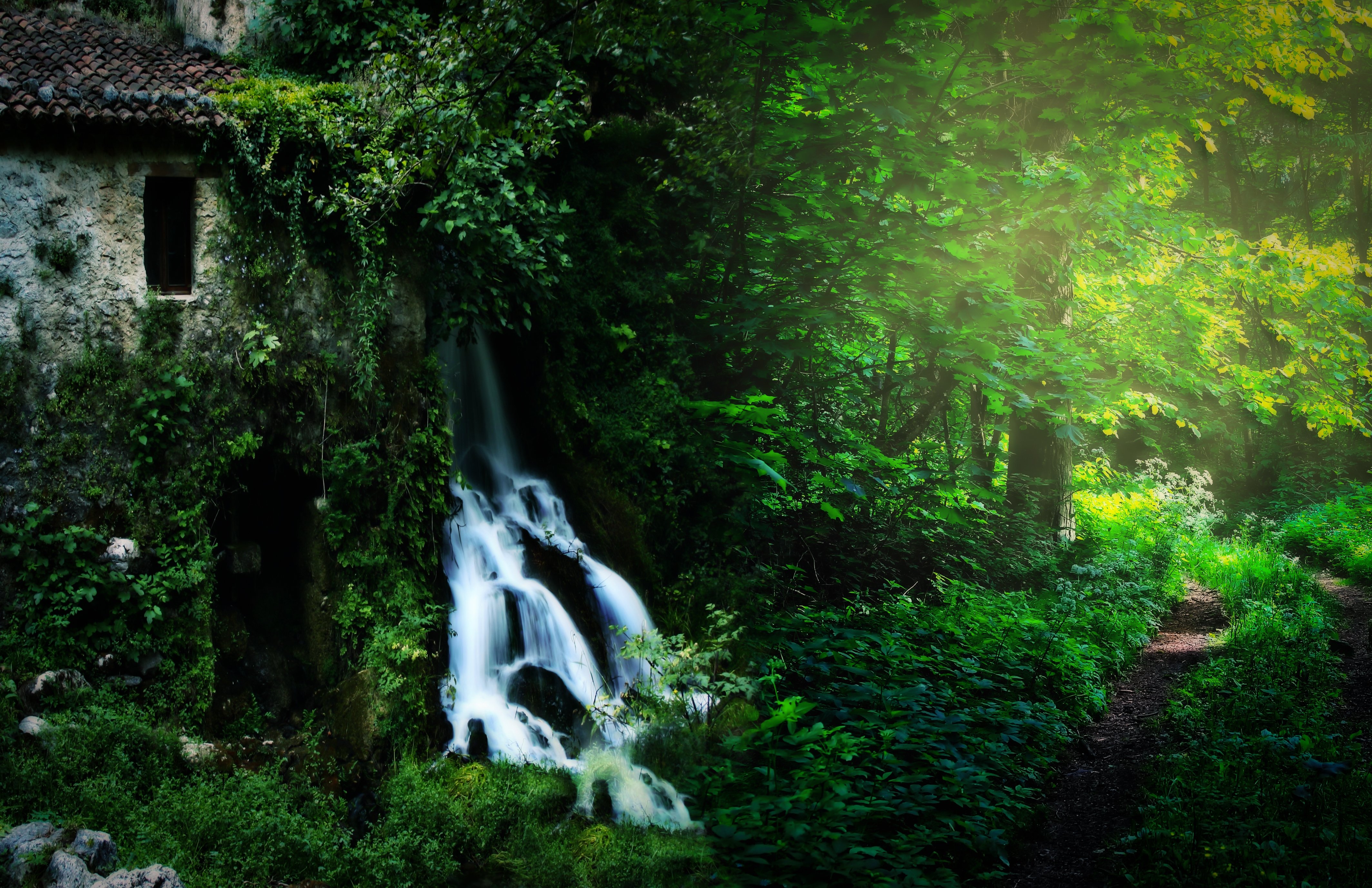 forest, Nature, Building, Waterfall, Landscape Wallpaper