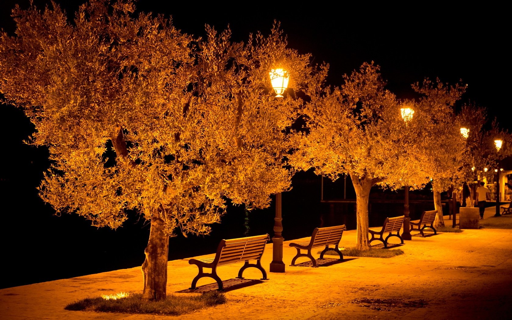 city, Street, Benches, Lights, Park, Evening Wallpaper