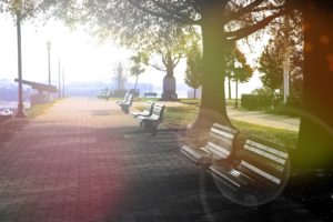 benches, Patches, Of, Light, Park, Trees, Light, Gun