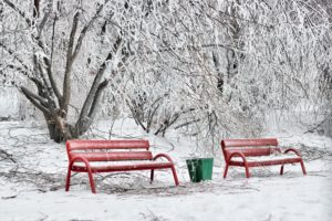 benches, Winter, Hoarfrost, Snow, Cold, Ballot, Box, Red
