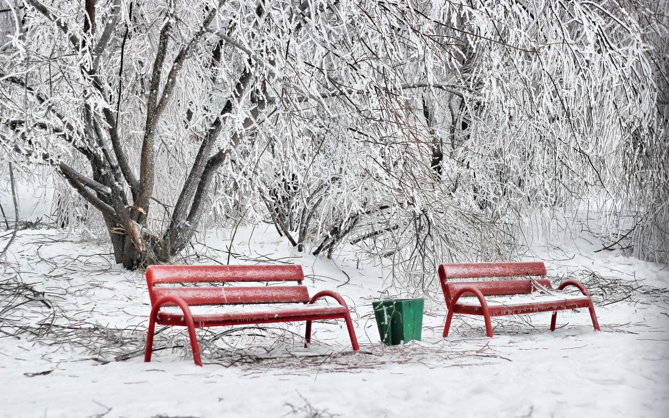 benches, Winter, Hoarfrost, Snow, Cold, Ballot, Box, Red Wallpaper