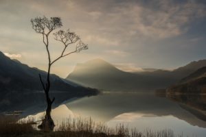 sunrays, Nature, Trees, Sunrise, Lake, Tree, Clouds, Hill, Plants, Reflection, Lake, District, Weather, Buttermere, Haystack, Lone, Solarity