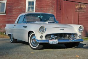 1955, Ford, Thunderbird, Convertible, Classic, Old, Vintage, Retro, White, Usa 1500×1000 21