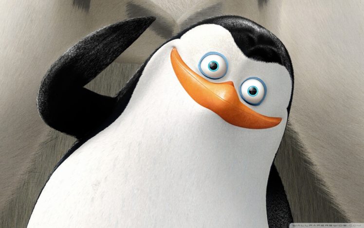 los, Pinguinos, De, Madagascar, Aventuras, Accion HD Wallpaper Desktop Background