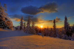 sunset, Winter, Forest
