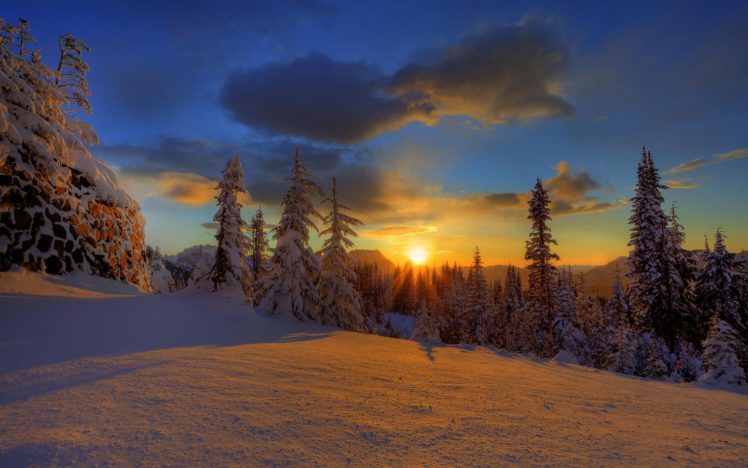 sunset, Winter, Forest HD Wallpaper Desktop Background