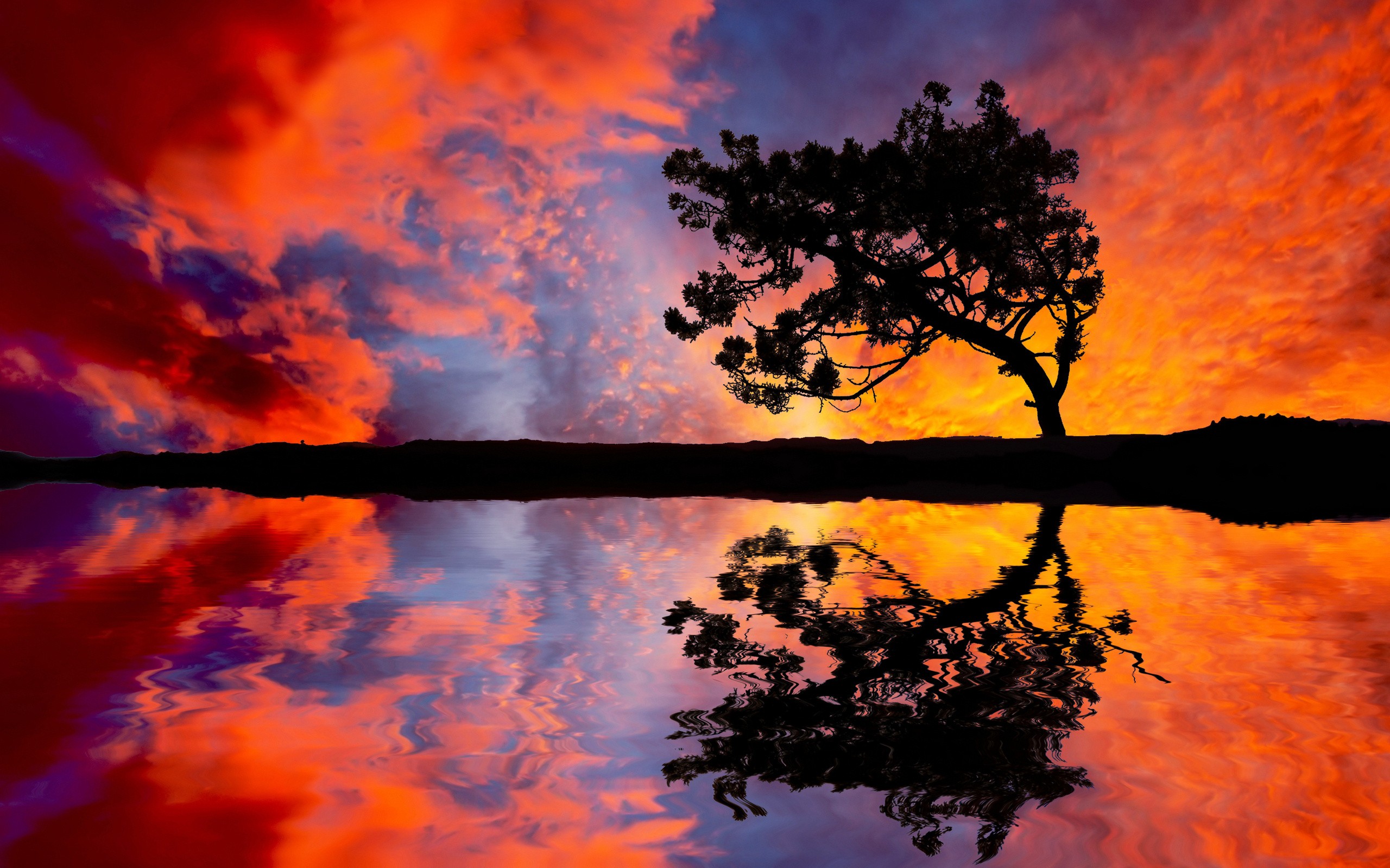 landscapes, Trees, Reflections Wallpaper