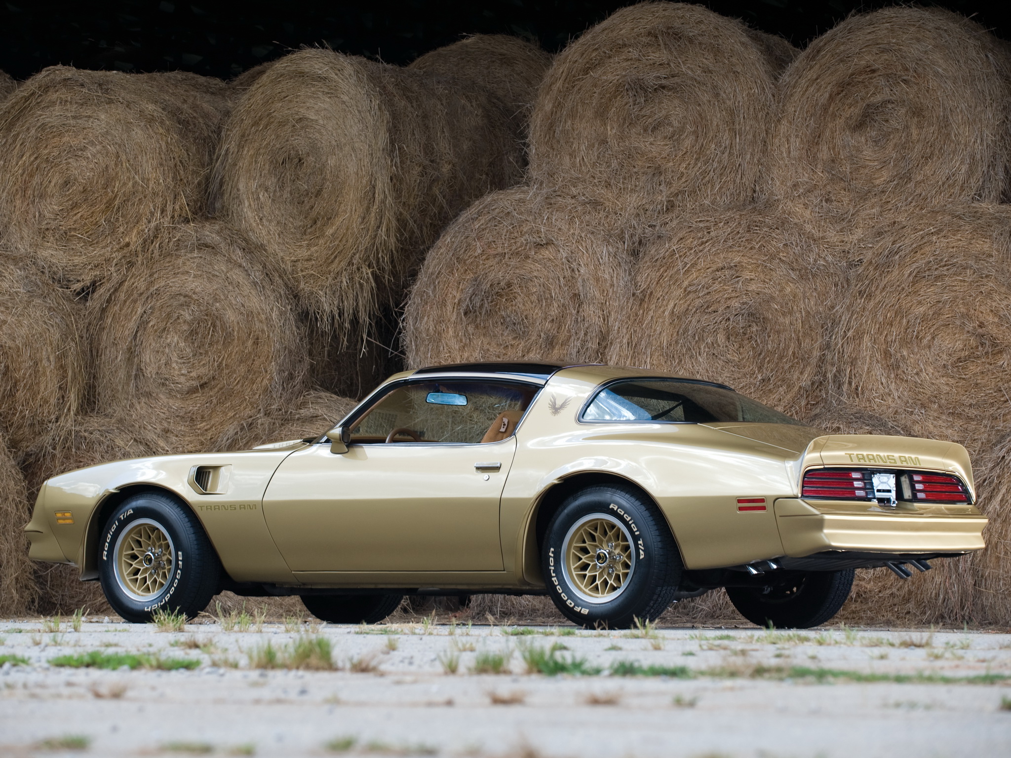 1978, Pontiac, Firebird, Trans am, Trans, A m, Muscle, Classic Wallpaper