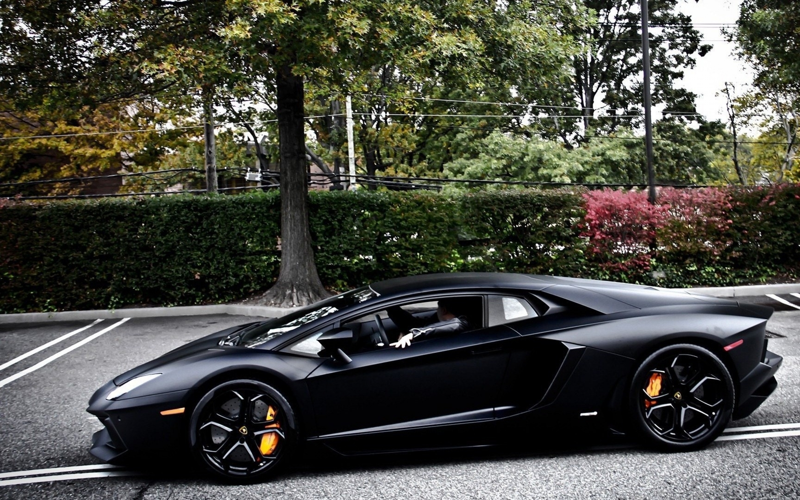 lamborghini Wallpaper