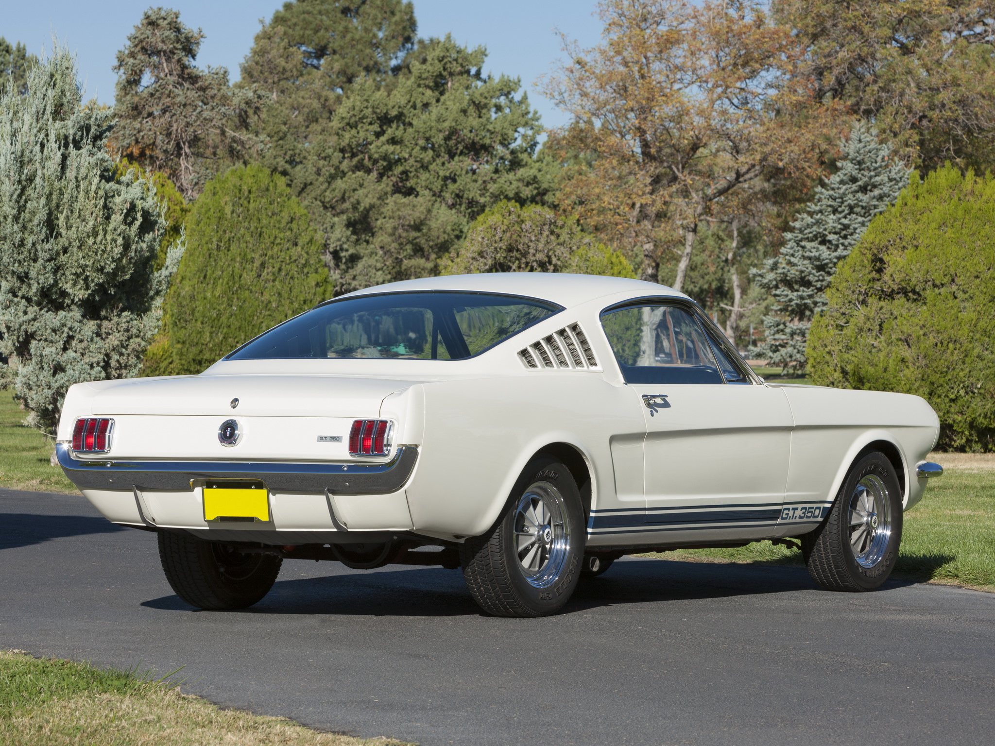 Ford Mustang Shelby Fastback 1965