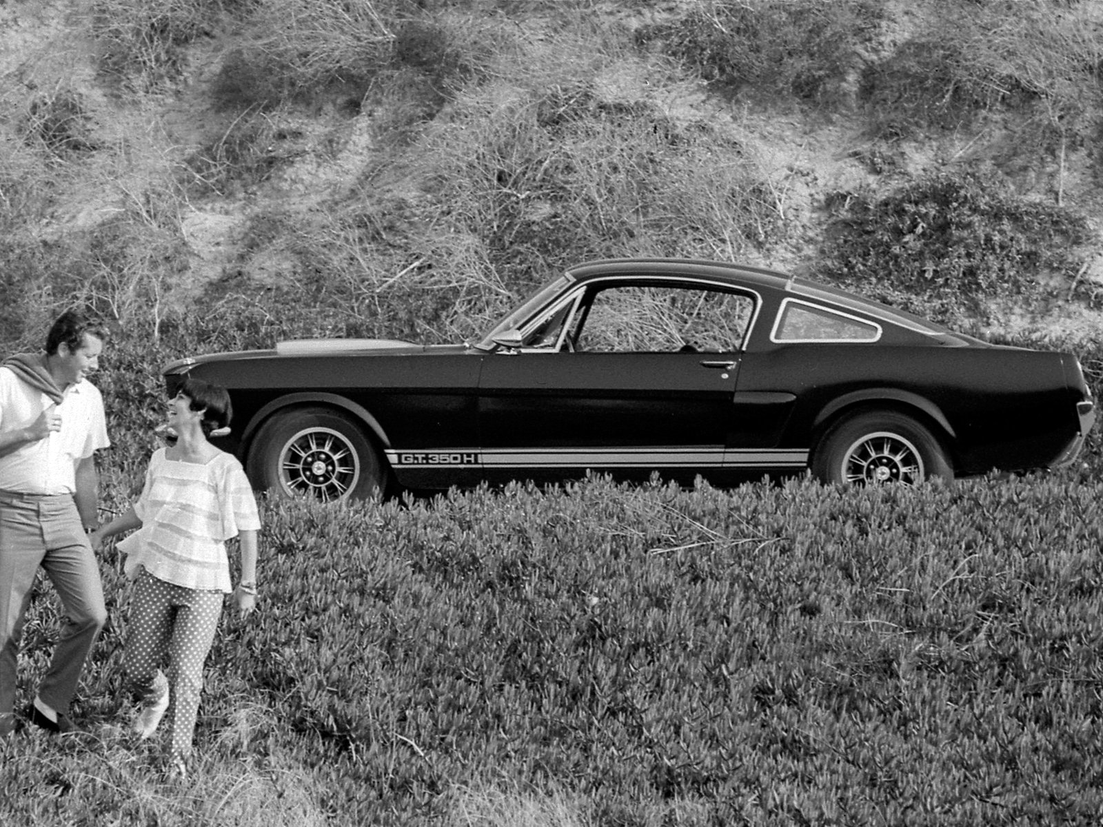 1966, Shelby, Gt350h, Ford, Mustang, Classic, Muscle, B w Wallpaper