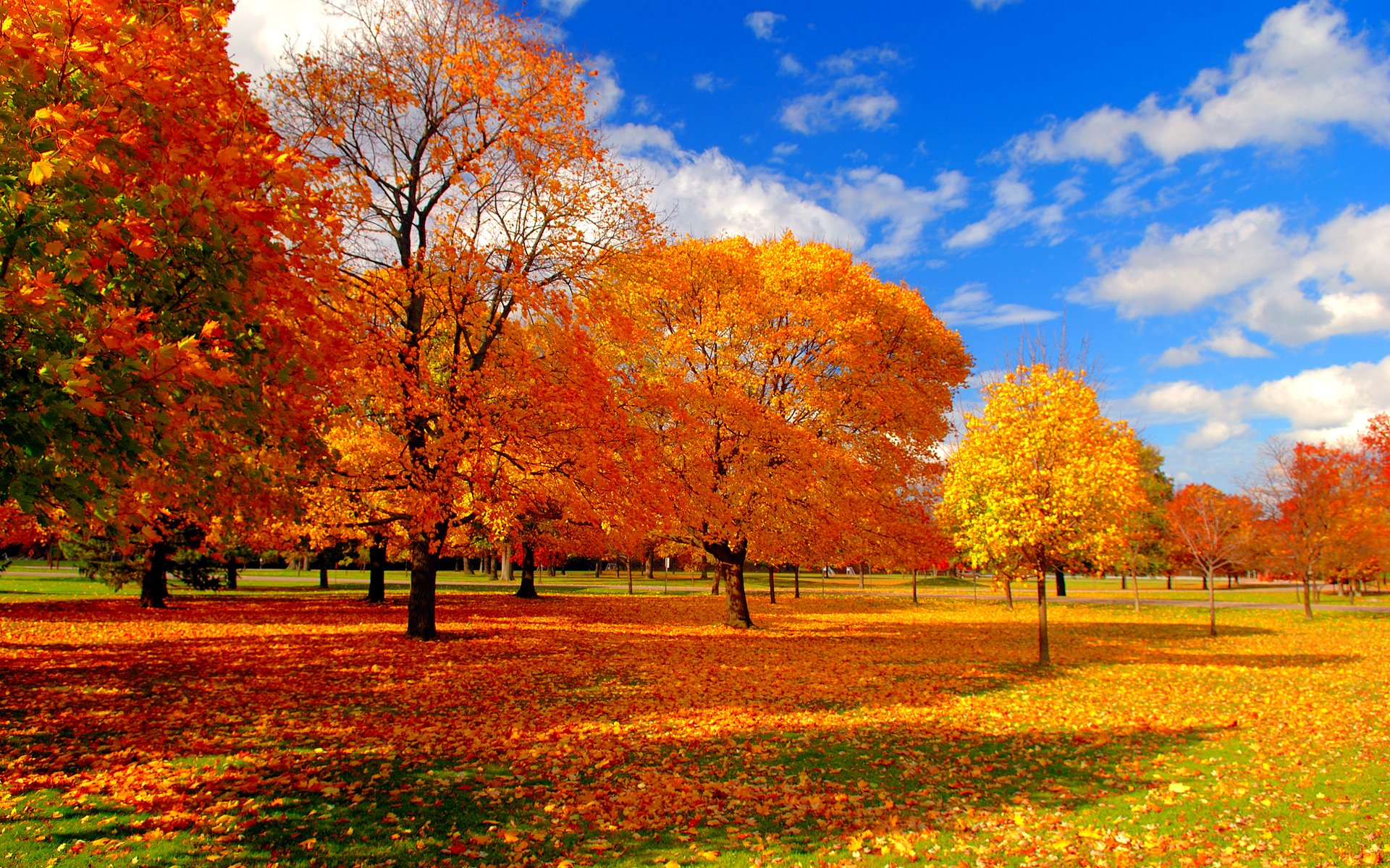 autumn, Fall, Season, Nature, Landscape, Leaf, Leaves, Color, Seasons ...