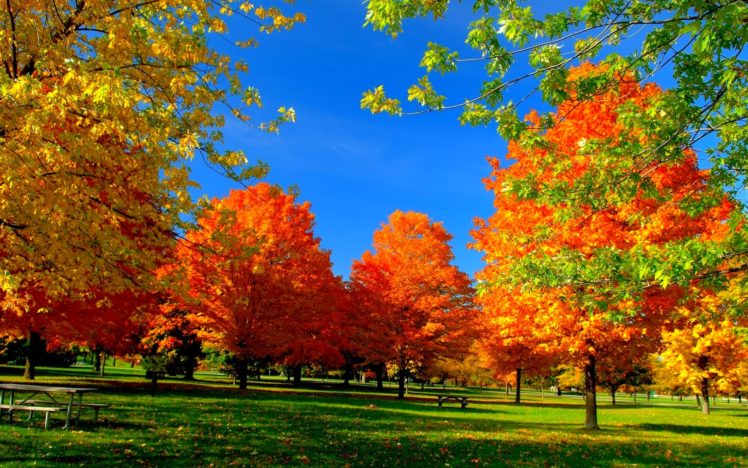 fall season desktop background