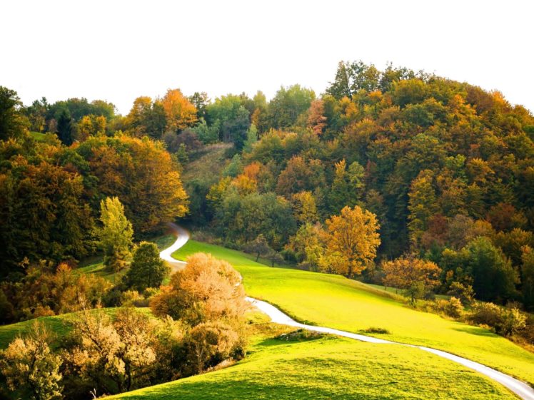 autumn, Fall, Season, Nature, Landscape, Leaf, Leaves, Color, Seasons, Tree, Forest HD Wallpaper Desktop Background
