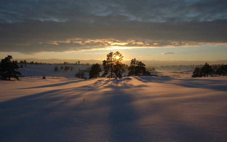 landscapes, Winter, White HD Wallpaper Desktop Background