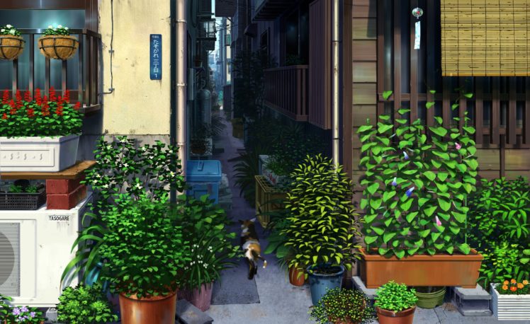 animal, Building, Cat, Flowers, Leaves, Nobody, Original, Pei,  sumurai , Scenic HD Wallpaper Desktop Background