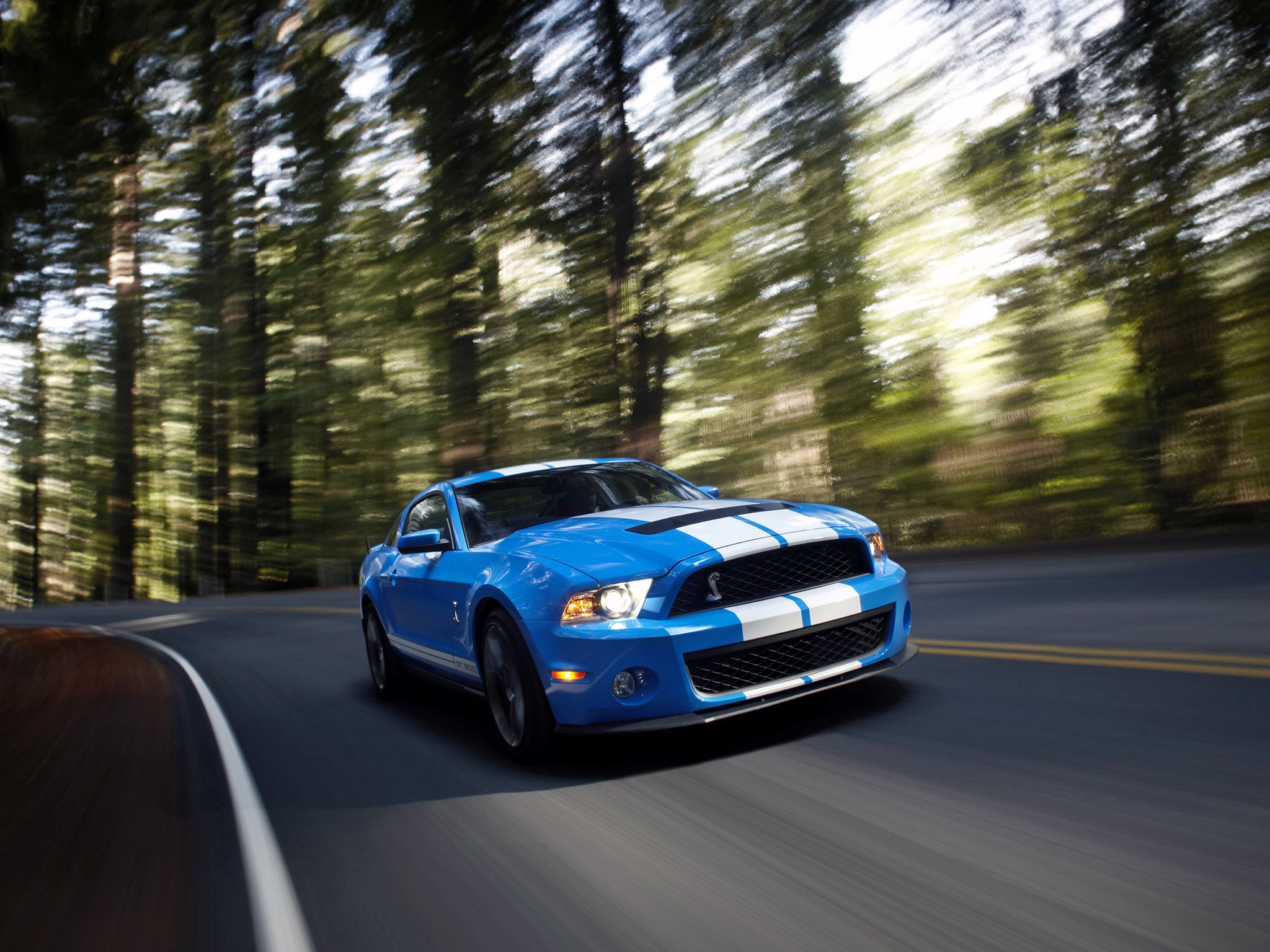 2009, Shelby, Gt500, Ford, Mustang, Muscle Wallpaper