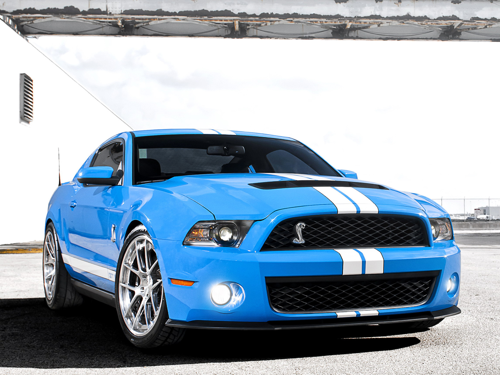 2009, Shelby, Gt500, Ford, Mustang, Muscle Wallpaper