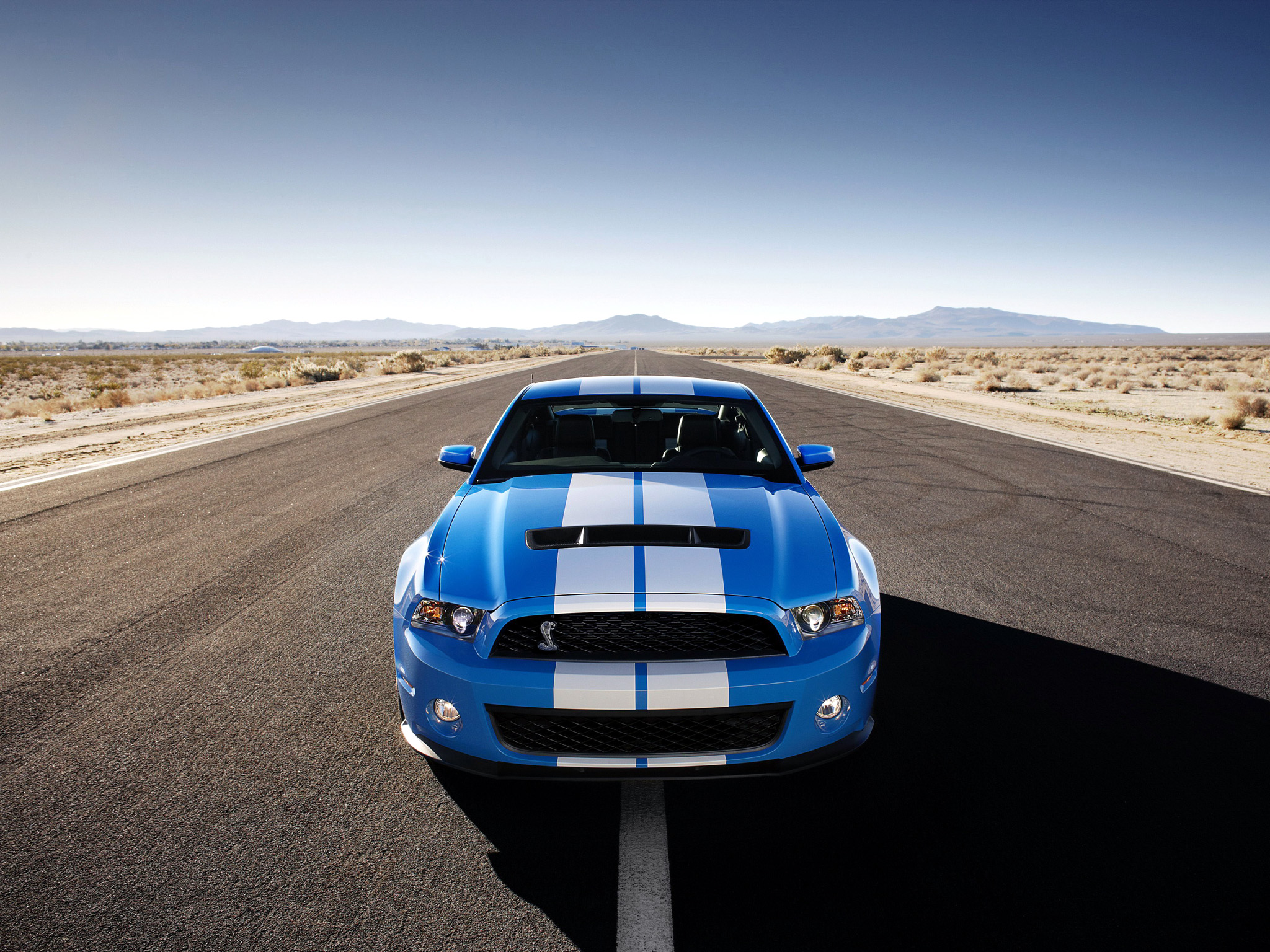 2009, Shelby, Gt500, Ford, Mustang, Muscle Wallpaper