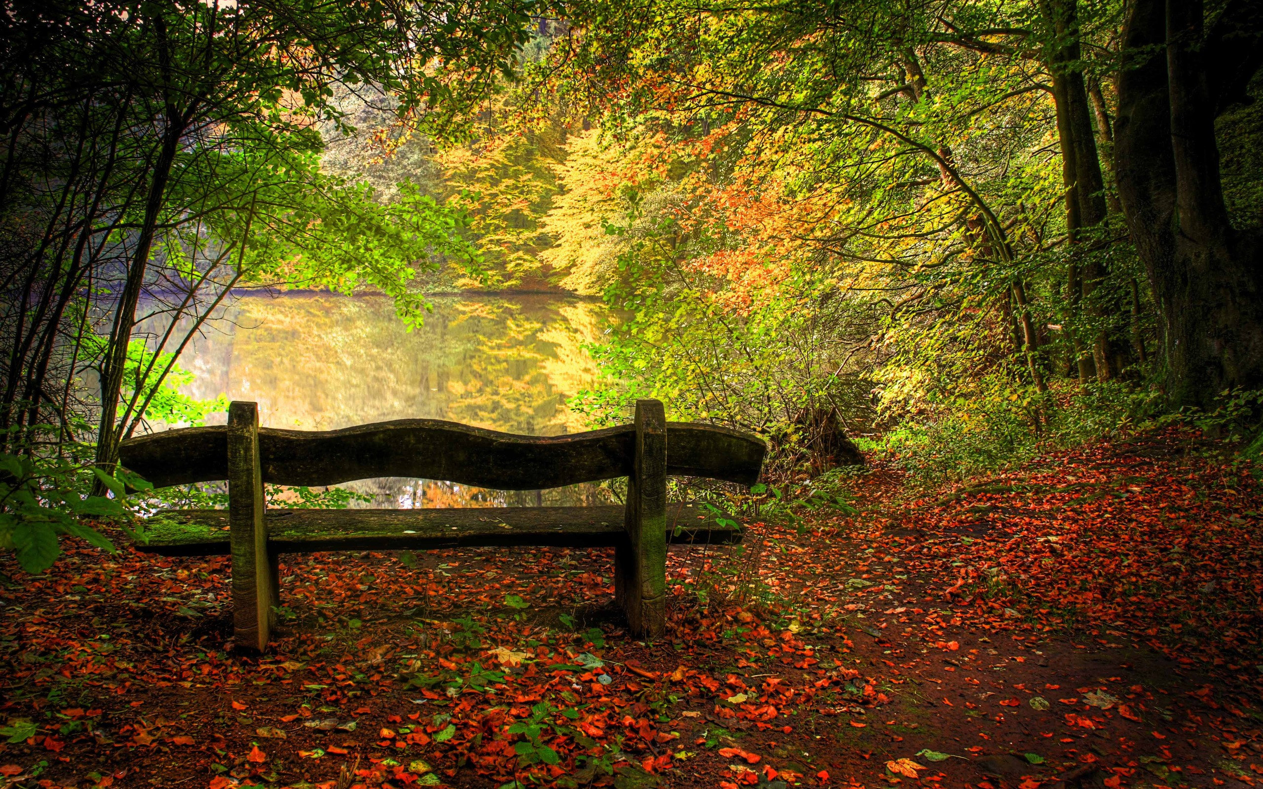 nature, Viewed, From, A, Bench Wallpaper