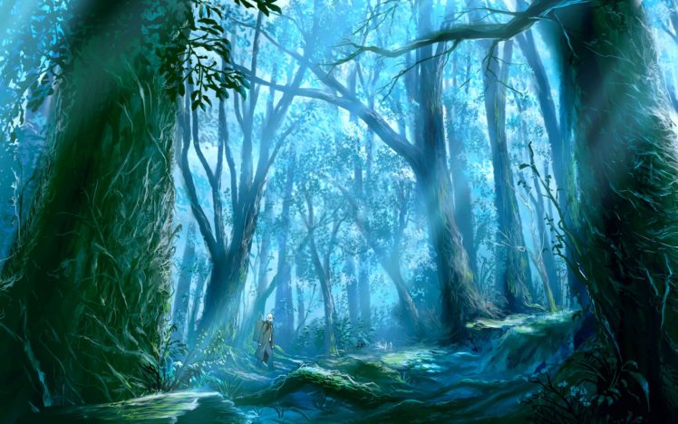 forest, Trees, Nature, Landscape, Tree HD Wallpaper Desktop Background