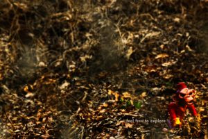 dark, Art, Artwork, Fantasy, Artistic, Original, Psychedelic, Horror, Evil, Creepy, Scary, Spooky, Halloween