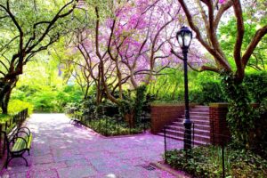nature, Trees, Pink, Stairways, Bench, Scenic, Lamp, Posts, Hdr, Photography