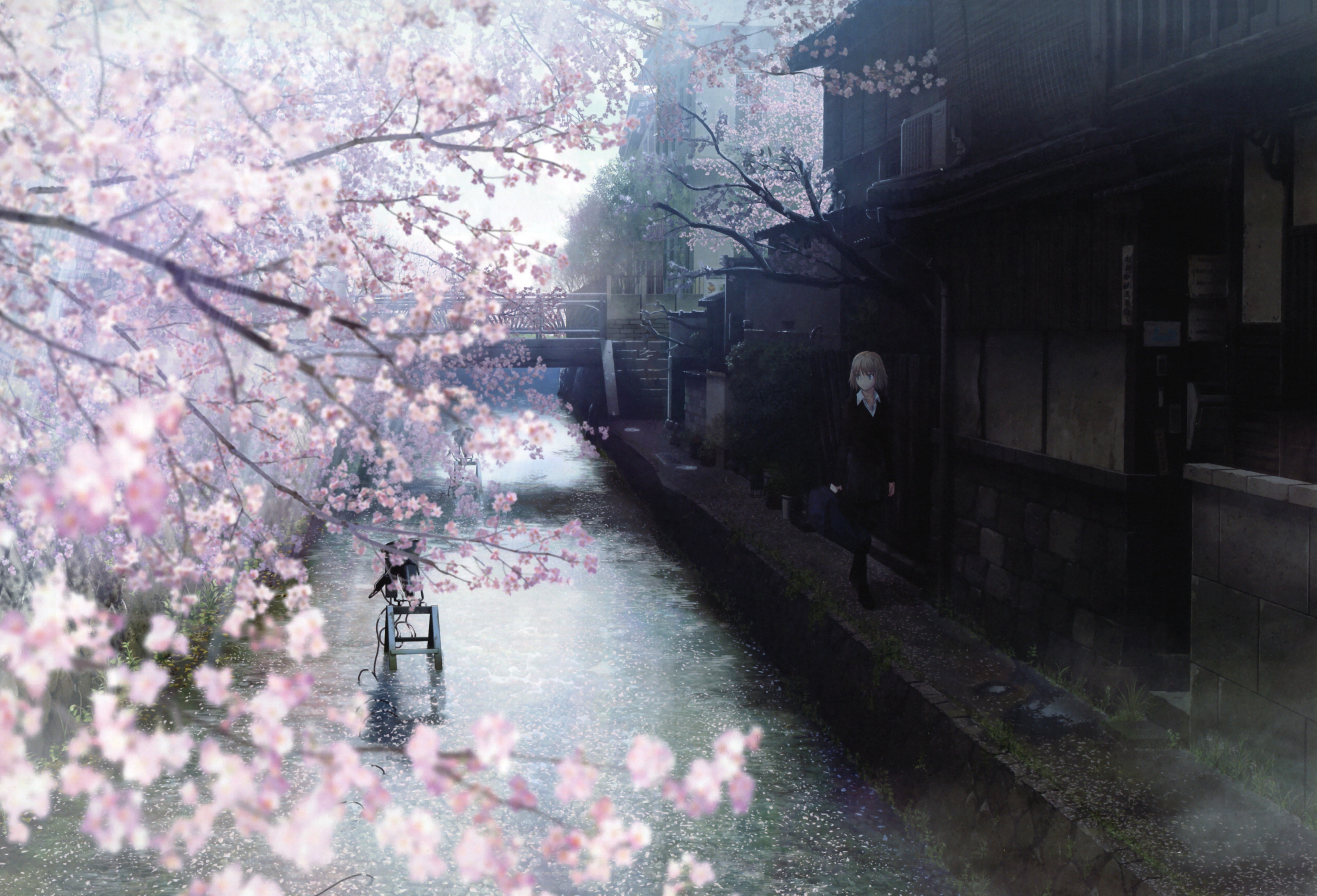 water, Cherry, Blossoms, Japanese, Spring, Watercolor, Anime, Girls, Branches Wallpaper