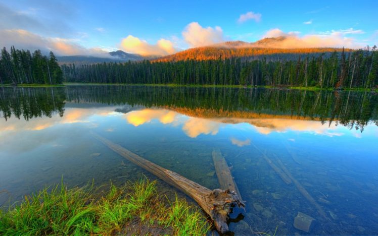 lago, Naturaleza, Bosque HD Wallpaper Desktop Background