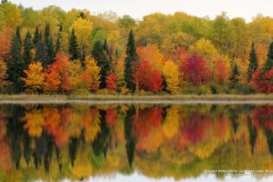 lake, Autumn, Forest, Beauty, Tree, Landscape