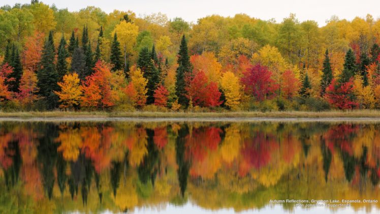 lake, Autumn, Forest, Beauty, Tree, Landscape HD Wallpaper Desktop Background