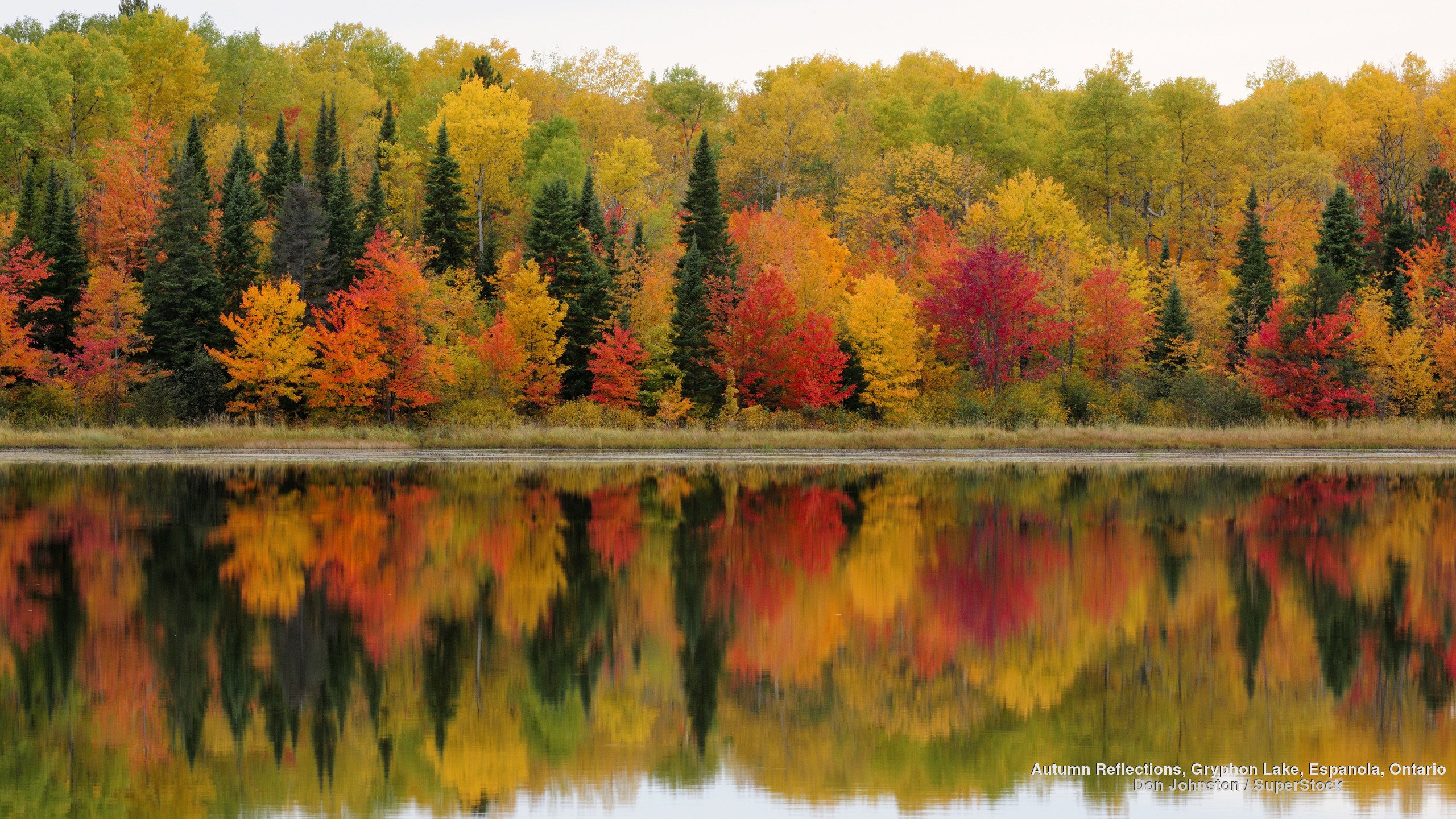 Lake Autumn Forest Beauty Tree Landscape Wallpapers Hd Desktop