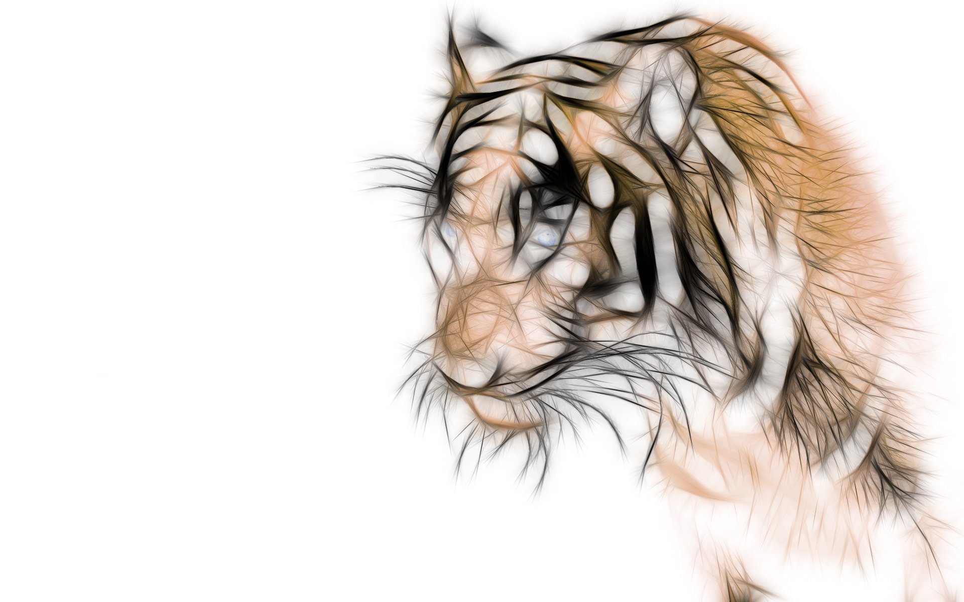 tiger, Cat, Predator, Cats, Fantasy, Asian, Oriental, Nature, Jungle Wallpaper