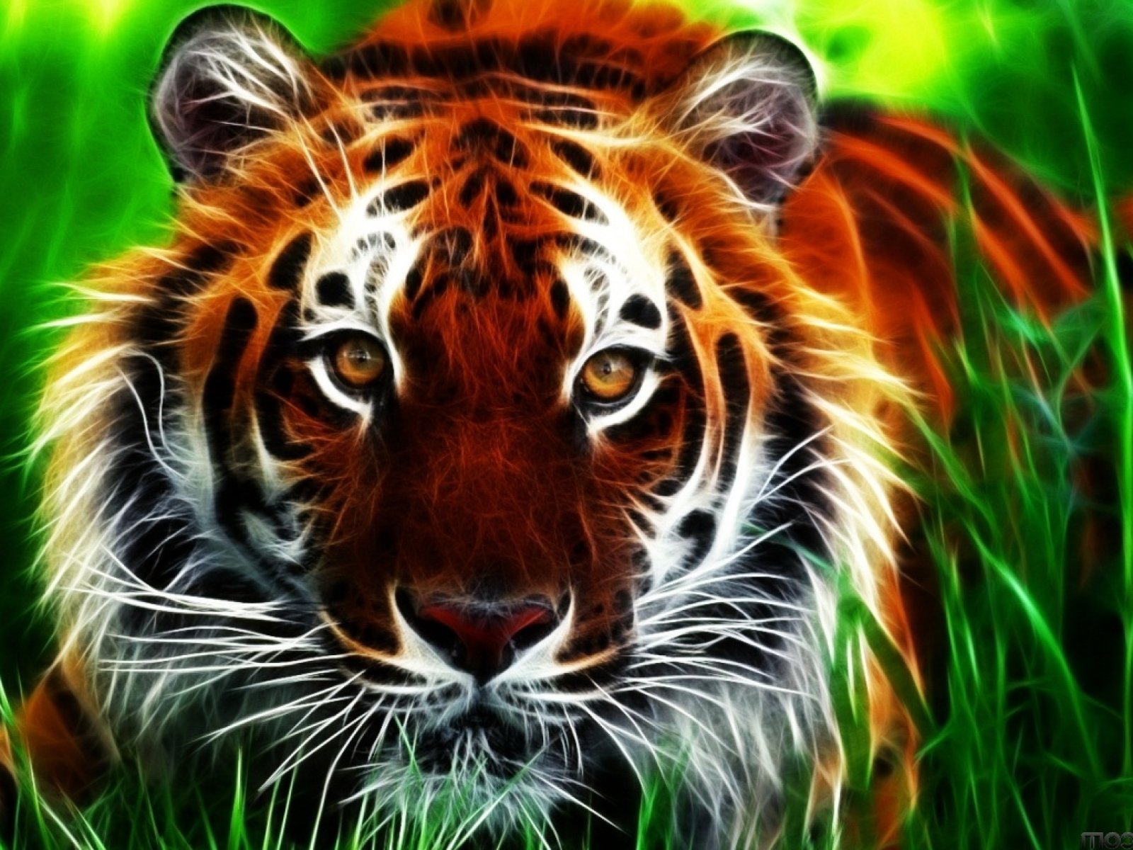 tiger, Cat, Predator, Cats, Fantasy, Asian, Oriental, Nature, Jungle Wallpaper