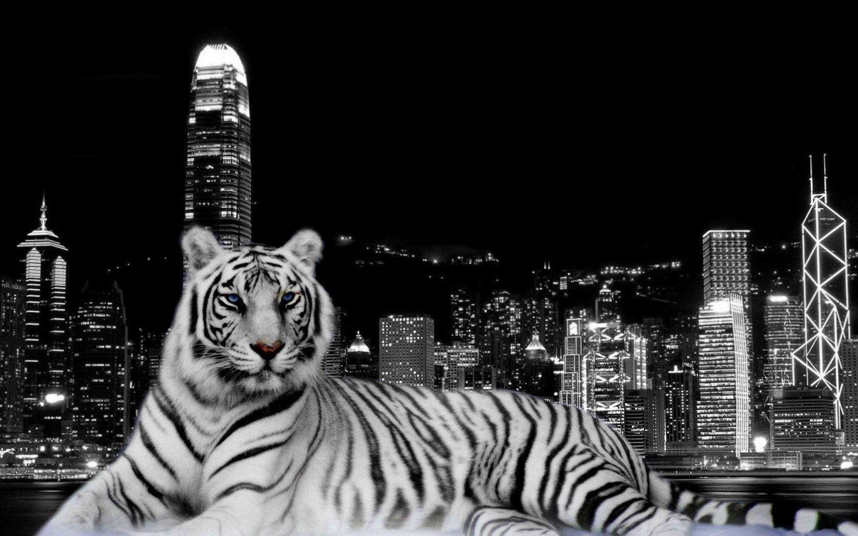 tiger, Cat, Predator, Cats, Fantasy, Asian, Oriental, Nature, Jungle Wallpaper
