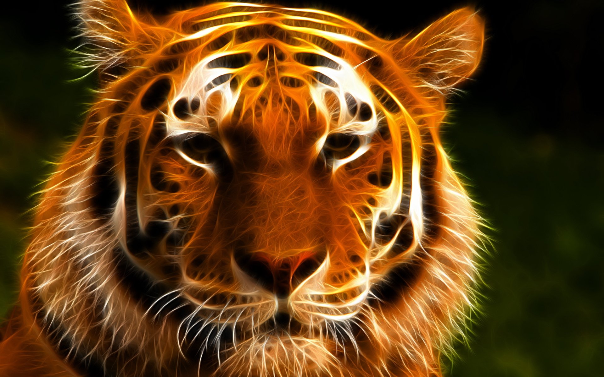 tiger, Cat, Predator, Cats, Fantasy, Asian, Oriental, Nature, Jungle Wallpaper