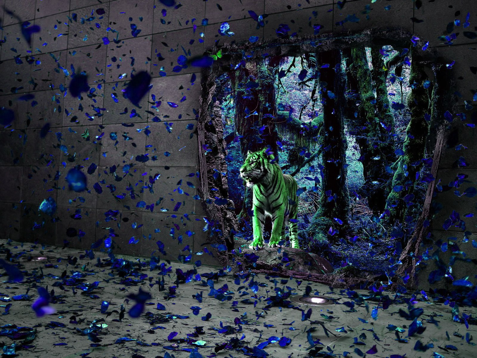 tiger, Cat, Predator, Cats, Fantasy, Asian, Oriental, Nature, Jungle Wallpaper