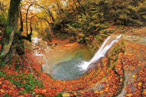 erfelek, Sinop, Turkey, Landscape, Nature, Beauty, Amazing, River, Autumn, Forest